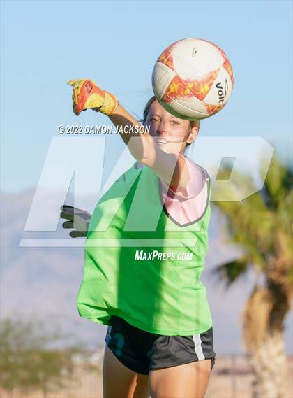 Thumbnail 2 in JV: Cheyenne @ Virgin Valley photogallery.