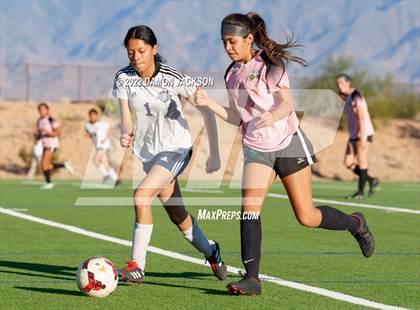 Thumbnail 1 in JV: Cheyenne @ Virgin Valley photogallery.