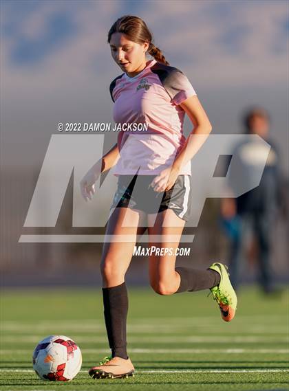 Thumbnail 1 in JV: Cheyenne @ Virgin Valley photogallery.