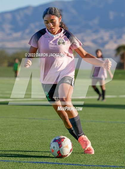 Thumbnail 2 in JV: Cheyenne @ Virgin Valley photogallery.