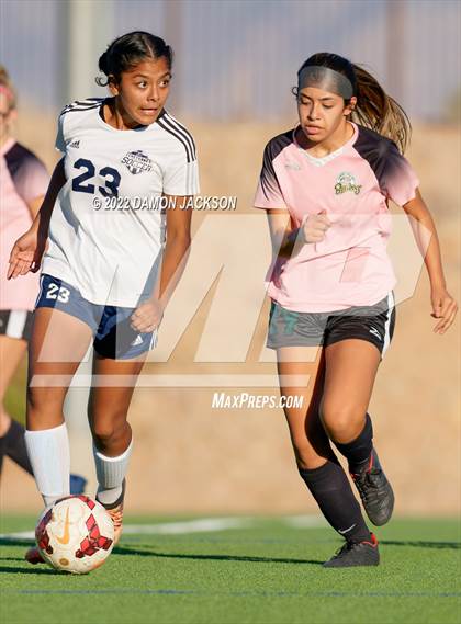 Thumbnail 2 in JV: Cheyenne @ Virgin Valley photogallery.