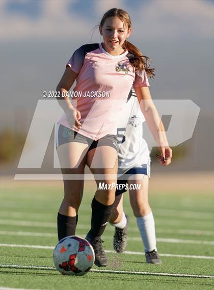 Thumbnail 3 in JV: Cheyenne @ Virgin Valley photogallery.