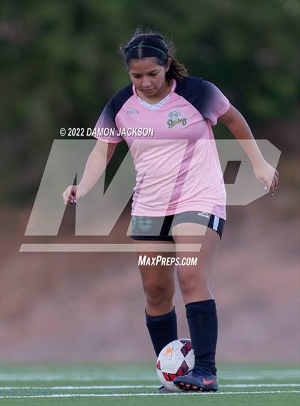Thumbnail 2 in JV: Cheyenne @ Virgin Valley photogallery.