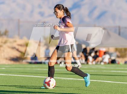Thumbnail 2 in JV: Cheyenne @ Virgin Valley photogallery.