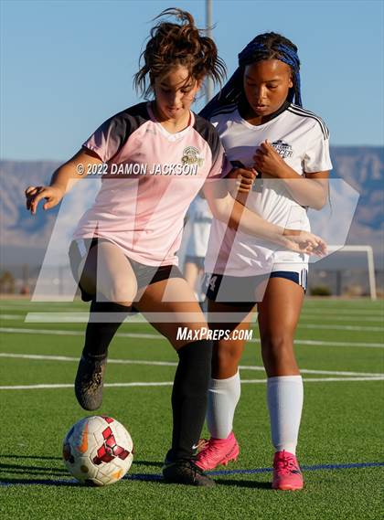 Thumbnail 2 in JV: Cheyenne @ Virgin Valley photogallery.