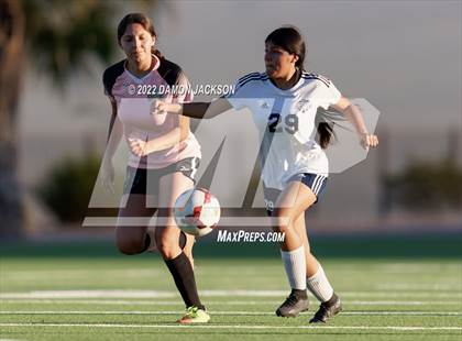 Thumbnail 3 in JV: Cheyenne @ Virgin Valley photogallery.