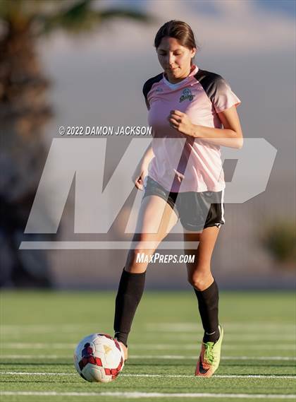 Thumbnail 3 in JV: Cheyenne @ Virgin Valley photogallery.