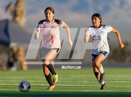 Thumbnail 3 in JV: Cheyenne @ Virgin Valley photogallery.