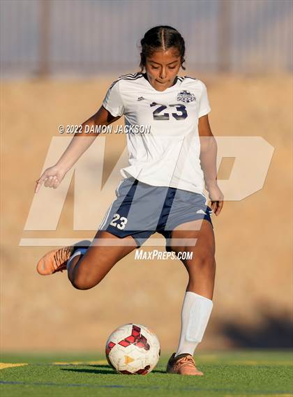 Thumbnail 3 in JV: Cheyenne @ Virgin Valley photogallery.