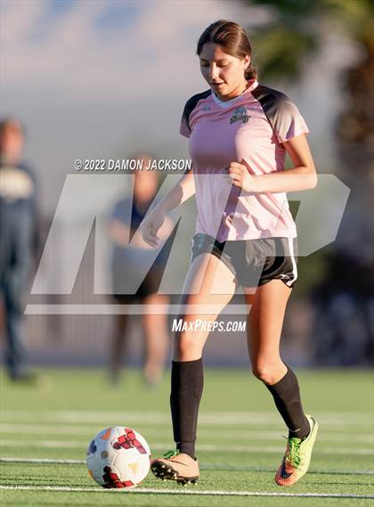 Thumbnail 2 in JV: Cheyenne @ Virgin Valley photogallery.