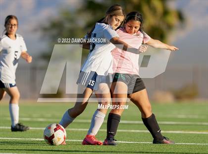 Thumbnail 3 in JV: Cheyenne @ Virgin Valley photogallery.