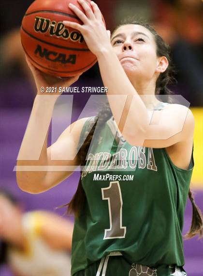 Thumbnail 3 in Ponderosa @ Bret Harte photogallery.