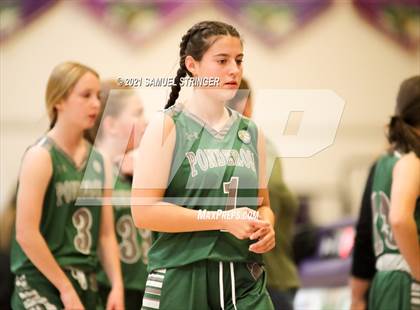 Thumbnail 3 in Ponderosa @ Bret Harte photogallery.