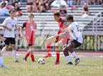 Photo from the gallery "Miami Trace @ Alexander"