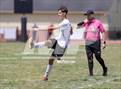 Photo from the gallery "Miami Trace @ Alexander"