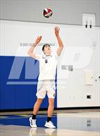 Photo from the gallery "Cardinal Newman @ Terra Linda"