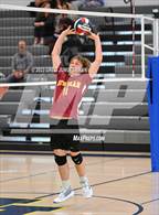 Photo from the gallery "Cardinal Newman @ Terra Linda"