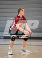 Photo from the gallery "Cardinal Newman @ Terra Linda"