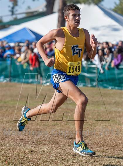Thumbnail 1 in CIF State Cross Country Championships (Boys D1)  photogallery.