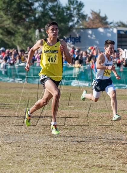 Thumbnail 1 in CIF State Cross Country Championships (Boys D1)  photogallery.