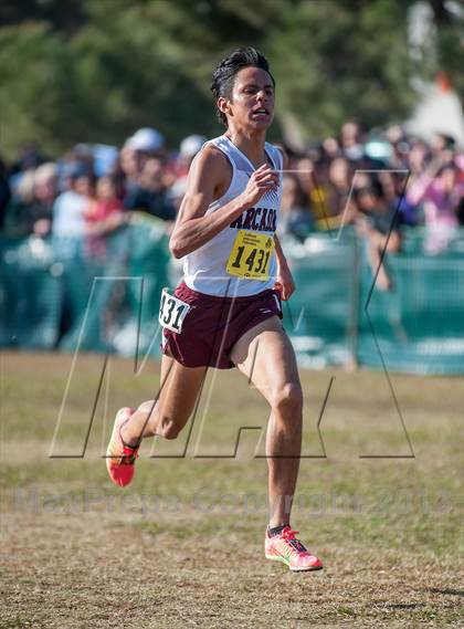 Thumbnail 1 in CIF State Cross Country Championships (Boys D1)  photogallery.