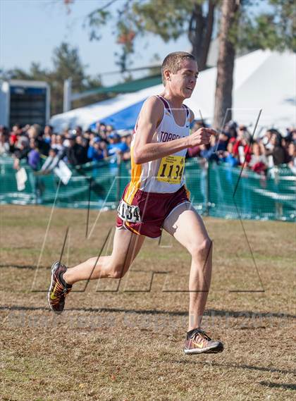 Thumbnail 1 in CIF State Cross Country Championships (Boys D1)  photogallery.