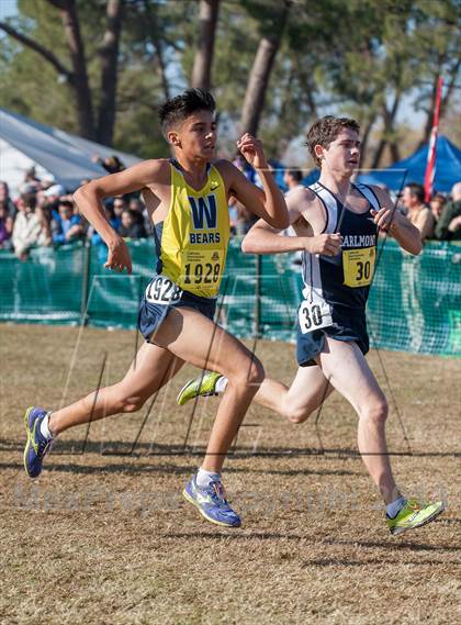 Thumbnail 3 in CIF State Cross Country Championships (Boys D1)  photogallery.