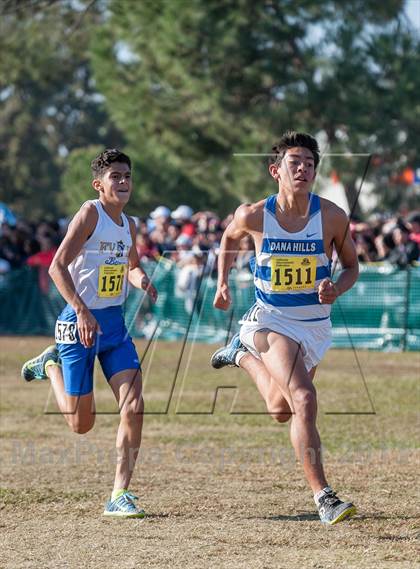 Thumbnail 2 in CIF State Cross Country Championships (Boys D1)  photogallery.