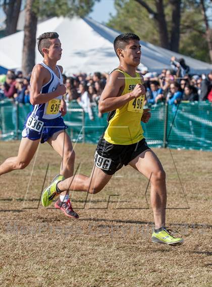 Thumbnail 1 in CIF State Cross Country Championships (Boys D1)  photogallery.