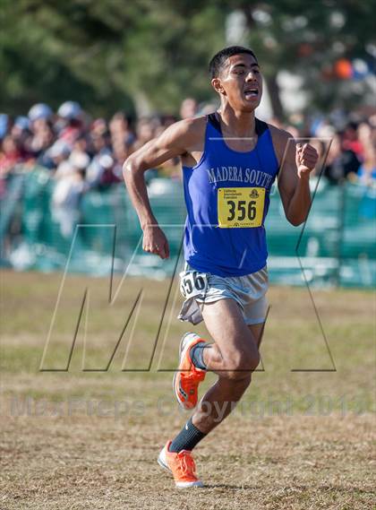 Thumbnail 2 in CIF State Cross Country Championships (Boys D1)  photogallery.