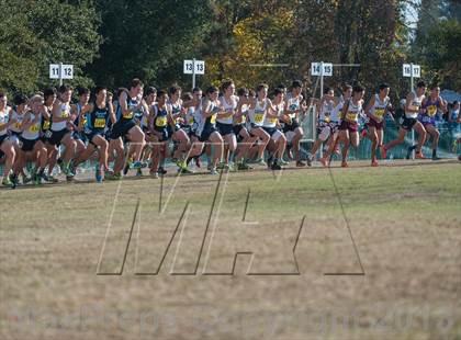 Thumbnail 1 in CIF State Cross Country Championships (Boys D1)  photogallery.