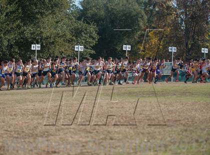 Thumbnail 2 in CIF State Cross Country Championships (Boys D1)  photogallery.