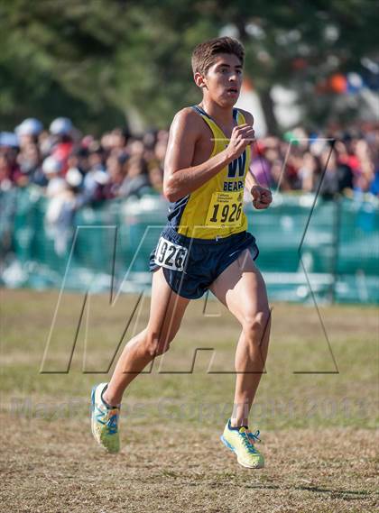 Thumbnail 1 in CIF State Cross Country Championships (Boys D1)  photogallery.