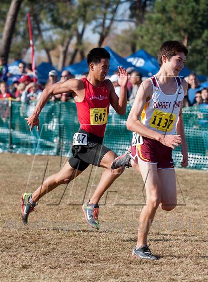 Thumbnail 2 in CIF State Cross Country Championships (Boys D1)  photogallery.