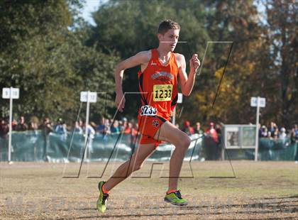 Thumbnail 1 in CIF State Cross Country Championships (Boys D1)  photogallery.