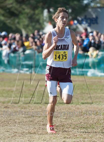 Thumbnail 1 in CIF State Cross Country Championships (Boys D1)  photogallery.