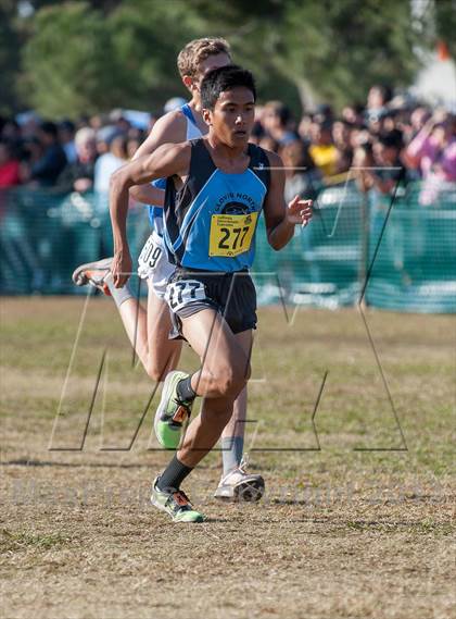 Thumbnail 3 in CIF State Cross Country Championships (Boys D1)  photogallery.