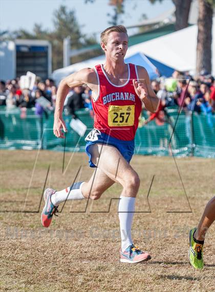 Thumbnail 3 in CIF State Cross Country Championships (Boys D1)  photogallery.