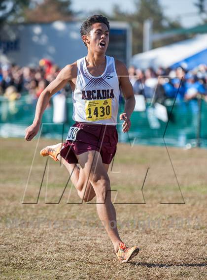 Thumbnail 1 in CIF State Cross Country Championships (Boys D1)  photogallery.