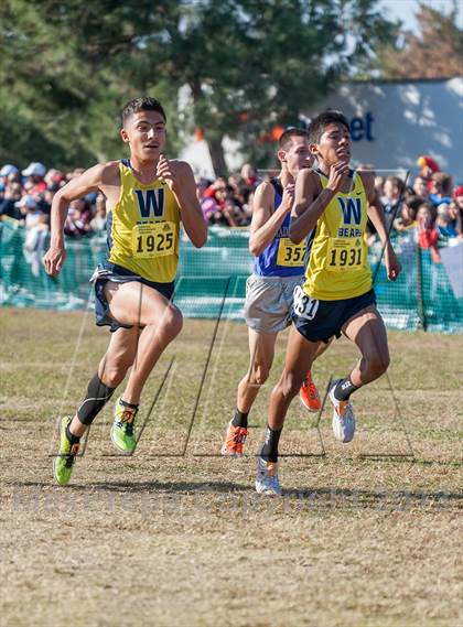 Thumbnail 2 in CIF State Cross Country Championships (Boys D1)  photogallery.