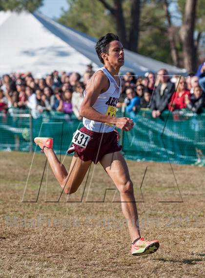 Thumbnail 1 in CIF State Cross Country Championships (Boys D1)  photogallery.