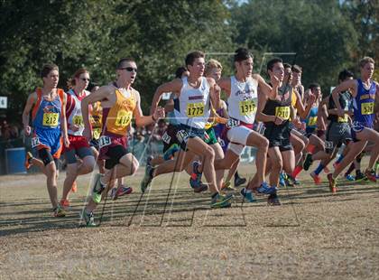 Thumbnail 3 in CIF State Cross Country Championships (Boys D1)  photogallery.