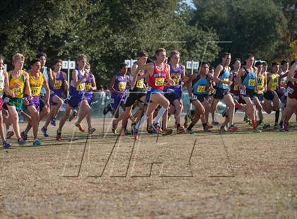 Thumbnail 3 in CIF State Cross Country Championships (Boys D1)  photogallery.