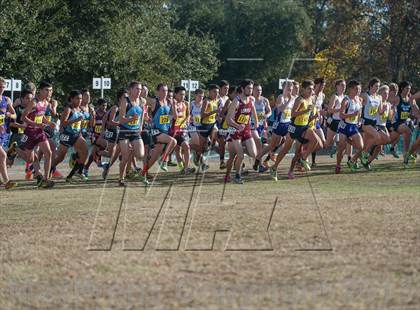 Thumbnail 2 in CIF State Cross Country Championships (Boys D1)  photogallery.
