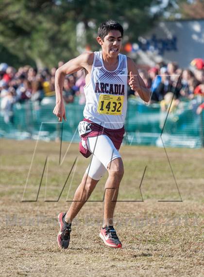 Thumbnail 3 in CIF State Cross Country Championships (Boys D1)  photogallery.