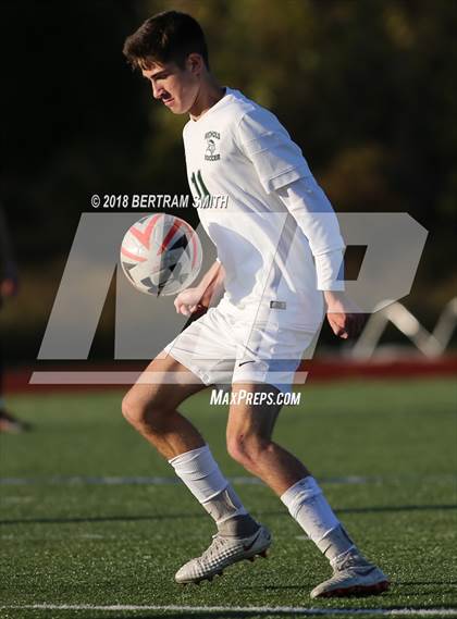 Thumbnail 1 in Nichols @ Canisius (Monsignor Class A Semifinal) photogallery.