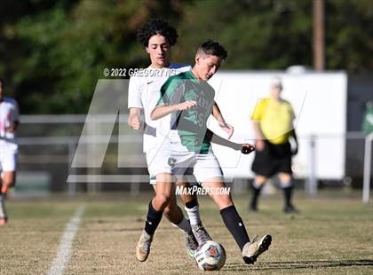 Thumbnail 1 in Panther Creek @ Cary photogallery.
