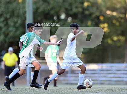 Thumbnail 2 in Panther Creek @ Cary photogallery.
