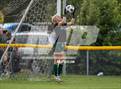 Photo from the gallery "Triton @ Pine Forest"
