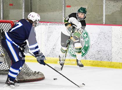 Thumbnail 3 in Cherry Creek vs. Mountain Vista  photogallery.